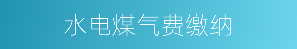 水电煤气费缴纳的同义词