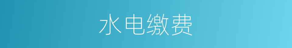 水电缴费的同义词