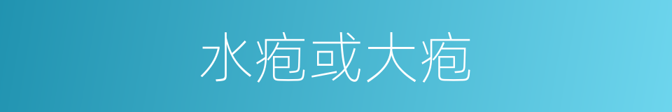 水疱或大疱的同义词