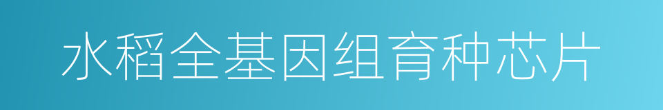水稻全基因组育种芯片的同义词
