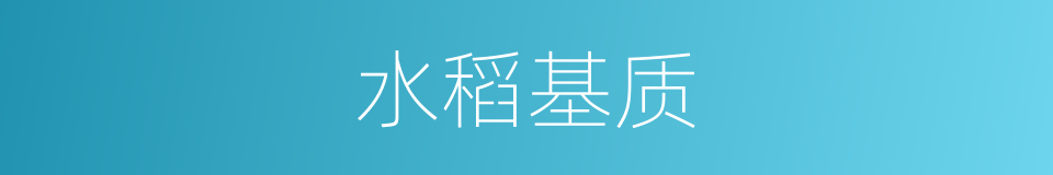 水稻基质的同义词