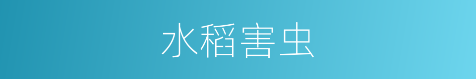 水稻害虫的同义词