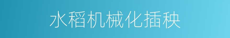 水稻机械化插秧的同义词