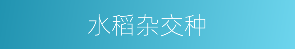 水稻杂交种的同义词