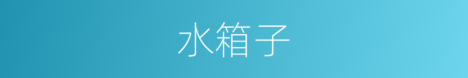 水箱子的同义词