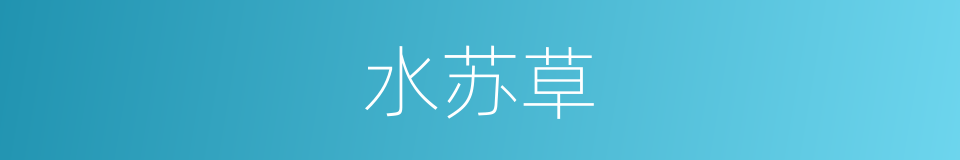 水苏草的同义词