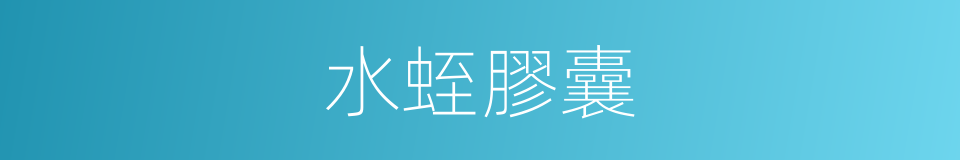 水蛭膠囊的同義詞