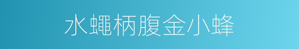 水蠅柄腹金小蜂的同義詞