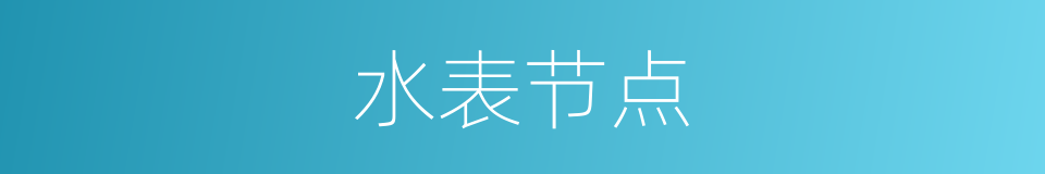 水表节点的同义词