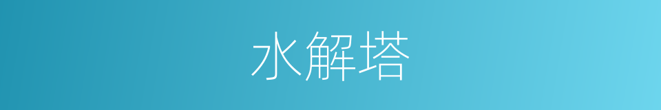 水解塔的同义词