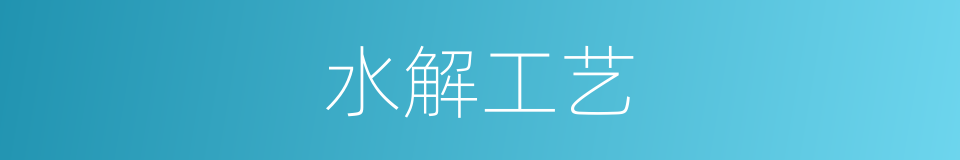 水解工艺的同义词