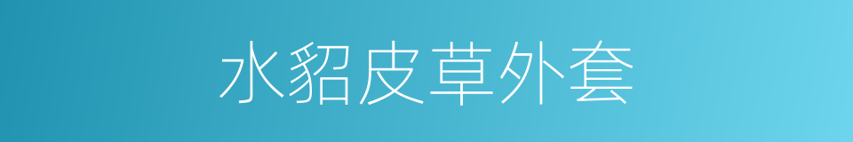 水貂皮草外套的同义词