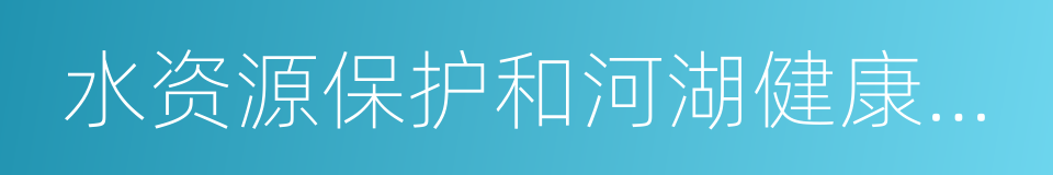 水资源保护和河湖健康保障体系的同义词