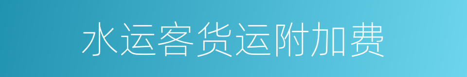 水运客货运附加费的同义词