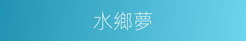 水鄉夢的同義詞