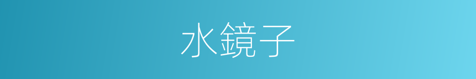 水鏡子的同義詞