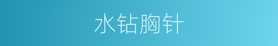 水钻胸针的同义词