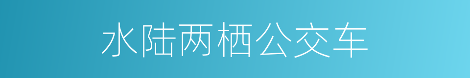 水陆两栖公交车的同义词
