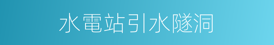 水電站引水隧洞的同義詞