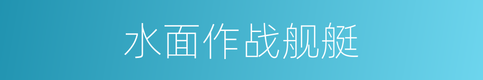 水面作战舰艇的同义词