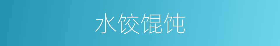 水饺馄饨的同义词