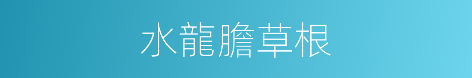 水龍膽草根的同義詞