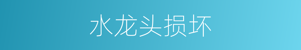 水龙头损坏的同义词