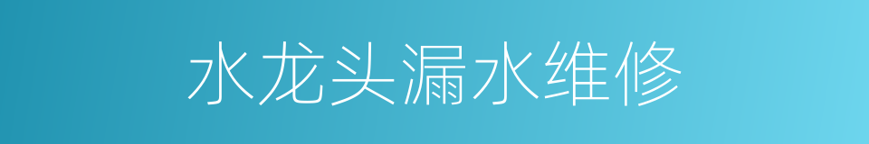 水龙头漏水维修的同义词