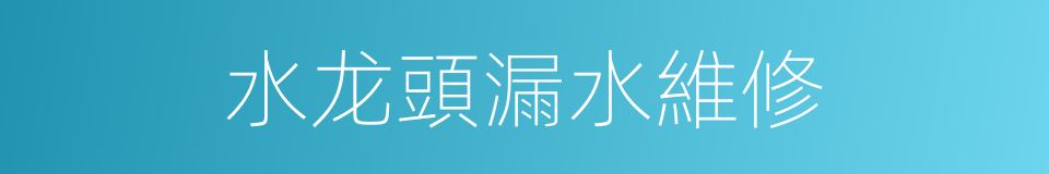 水龙頭漏水維修的同義詞