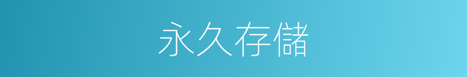 永久存儲的同義詞