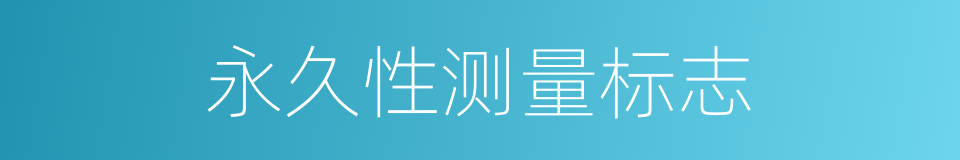 永久性测量标志的同义词