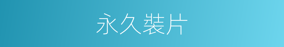 永久裝片的同義詞