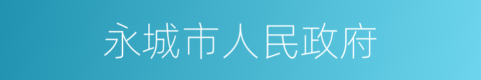 永城市人民政府的同义词