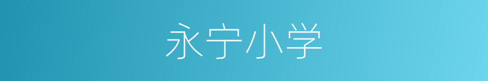 永宁小学的同义词