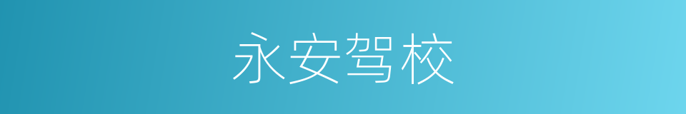 永安驾校的同义词