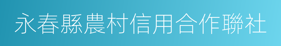 永春縣農村信用合作聯社的同義詞