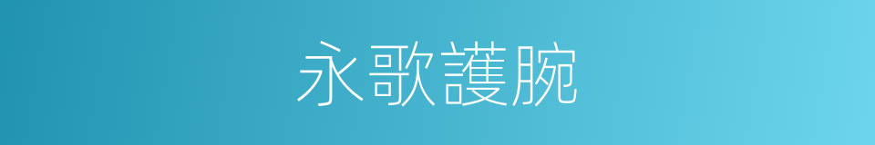 永歌護腕的同義詞