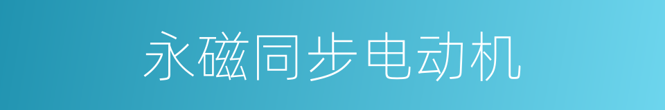 永磁同步电动机的同义词