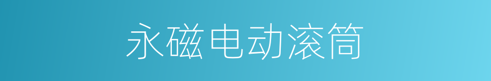 永磁电动滚筒的同义词