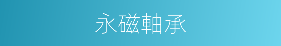 永磁軸承的同義詞