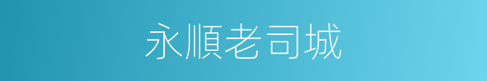 永順老司城的同義詞