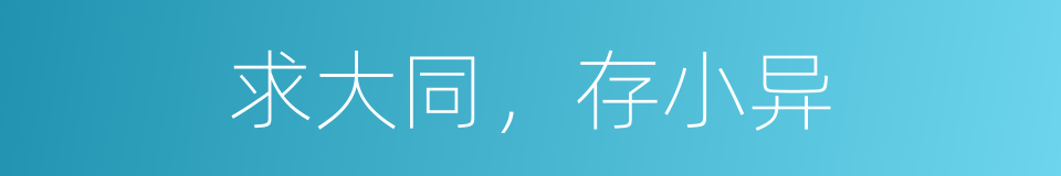 求大同，存小异的同义词