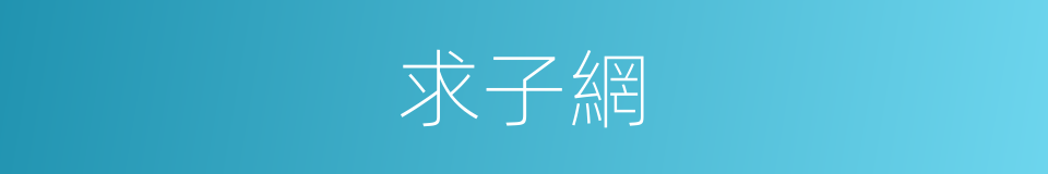 求子網的同義詞