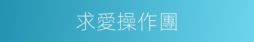 求愛操作團的同義詞