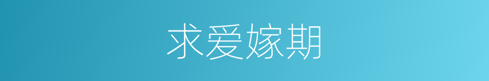 求爱嫁期的同义词