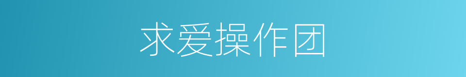 求爱操作团的同义词