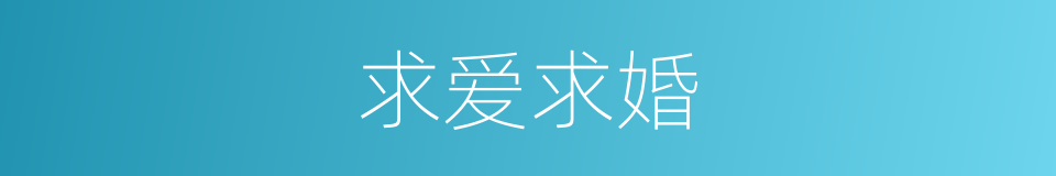 求爱求婚的同义词