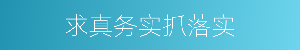 求真务实抓落实的同义词