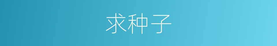 求种子的同义词