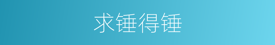求锤得锤的同义词